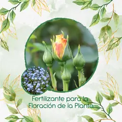 GENERICO - Fertilizante Para La Floración De Flor No Me Olvides