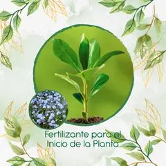 GENERICO - Fertilizante Para El Inicio De Flor No Me Olvides
