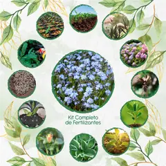 GENERICO - Kit Completo De Fertilizantes Para Flor No Me Olvides