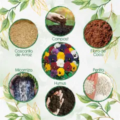 GENERICO - Kit De Acondicionadores De Suelos Para Flor Pensamiento Holanda