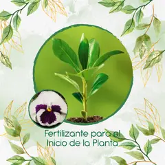 GENERICO - Fertilizante Para El Inicio De Flor Pensamiento Holanda