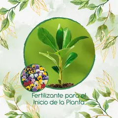 GENERICO - Fertilizante Para El Inicio De Flor Pensamiento Mezcla