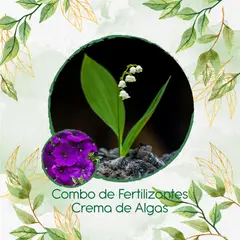 GENERICO - Combo De Fertilizantes Crema De Algas Para Flor Petunia Azul Violeta