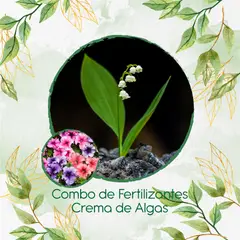 GENERICO - Combo De Fertilizantes Crema De Algas Para Flor Petunia Mezcla