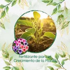 GENERICO - Fertilizante Para El Crecimiento De Flor Petunia Mezcla