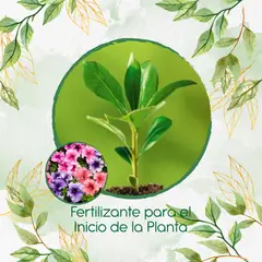 GENERICO - Fertilizante Para El Inicio De Flor Petunia Mezcla
