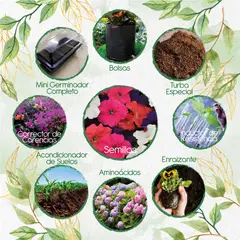 GENERICO - 1.200 Semillas De Flor Petunia Péndula + Kit Completo De Germinación