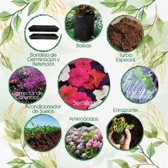 GENERICO - 2.400 Semillas De Flor Petunia Péndula + Kit De Producción