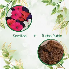 GENERICO - 1.200 Semillas De Flor Petunia Péndula + Turba De Germinación