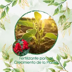 GENERICO - Fertilizante Para El Crecimiento De Flor Salvia Fuego De San Juan