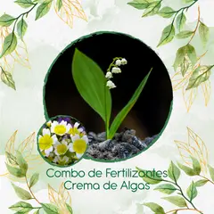 GENERICO - Combo De Fertilizantes Crema De Algas Para Flor Spiegeleitje