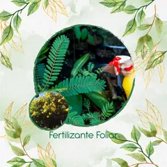 GENERICO - Fertilizante Generación De Brotes Para Árbol Alcaparro Enano