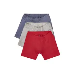 BIGBOYS - Boxer Multicolor X3