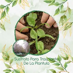 GENERICO - Sustrato Para Trasplante De Árbol Casco De Vaca