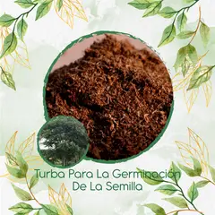 GENERICO - Turba Canadiense Especial Para Semillas De Árbol Cedro Negro