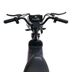 ROADMASTER - Bicicleta Eléctrica 350watts35km Rosada