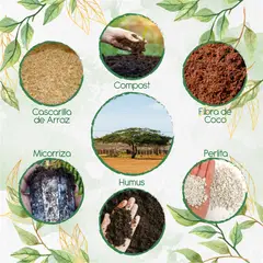 GENERICO - Kit De Acondicionadores De Suelos Para Árbol Cuji Trupillo