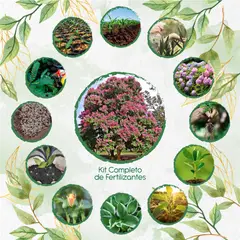 GENERICO - Kit Completo De Fertilizantes Para Árbol Embrujo De La India