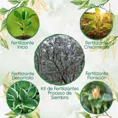 GENERICO - Kit De Fertilizantes Para La Siembra De Árbol Eucalipto Cinerea