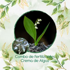 GENERICO - Combo De Fertilizantes Crema De Algas Para Árbol Eucalipto Citriodora