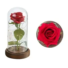 GENERICO - Rosa Eterna Roja Luz Led Alumbra Regalo Detalles Mujer