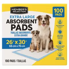 MEMBERS SELECTION - Tapetes Mascotas 66*76CMS 100 Uds