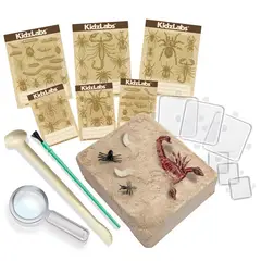 4M - KIT EXCAVACIÓN INSECTOS
