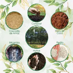 GENERICO - Kit De Acondicionadores De Suelos Para Árbol Eucalipto Pellita