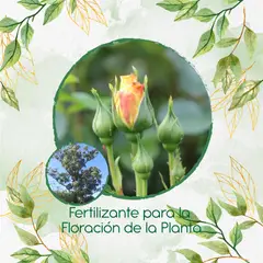 GENERICO - Fertilizante Para La Floración De Árbol Eucalipto Robusta