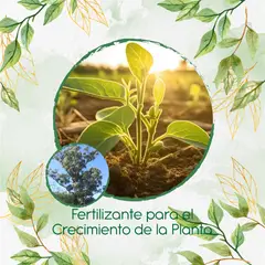 GENERICO - Fertilizante Para El Crecimiento De Árbol Eucalipto Robusta
