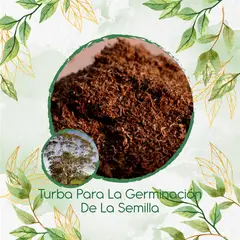 GENERICO - Turba Canadiense Especial Para Semillas De Árbol Eucalipto Viminalis