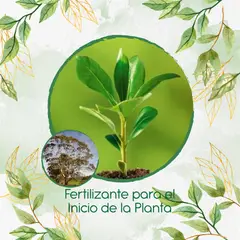 GENERICO - Fertilizante Para El Inicio De Árbol Eucalipto Viminalis