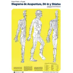 EDITORIAL SOLAR - LAMINA DIAGRAMA DE ACUPUNTURA DO IN 475 x 685 cm