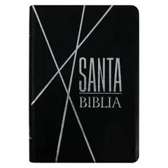 SBC - Biblia RVR60 Color Negro Canto Pintado LM