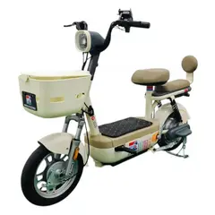 ZHOPI CO - Bicicleta Electrica 500 W Classic 48 V 20VH