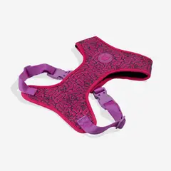 GENERICO - ZeeDog Adjustable Air Mesh Harness ref Brain talla XS