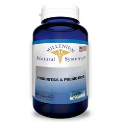 NATURAL SYSTEM - SUPLEMENTO PROBIOTICOS Y PREBIOTICOS X 60 CAPSULAS