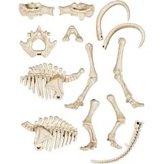 CLEMENTONI - Juego Didáctico Arqueojugando Fósiles De Mamut Niños