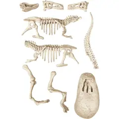 CLEMENTONI - Juego Didáctico Arqueojugando T-rex Fosforescente Para Niños