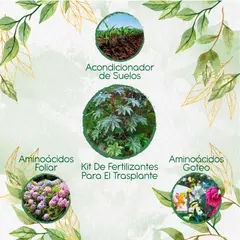 GENERICO - Kit De Fertilizantes Para El Trasplante De Higuerilla