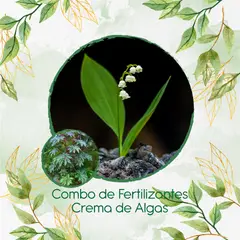 GENERICO - Combo De Fertilizantes Crema De Algas Para Higuerilla