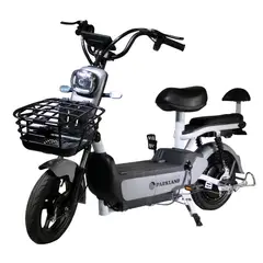 PARKLAND - Bicicleta Eléctrica 500 W Moto Eléctrica Ciclomotor