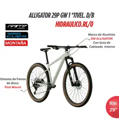 GW - BICICLETA MTB ALLIGATOR RIN 29 11VEL