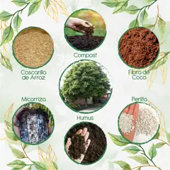 GENERICO - Kit De Acondicionadores De Suelos Para Árbol Jazmín Huesito