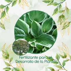 GENERICO - Fertilizante Para El Desarrollo De Árbol Leucaena