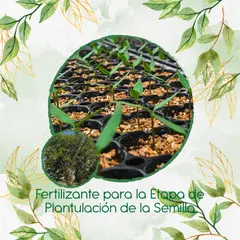 GENERICO - Fertilizante De Plantulación Para Árbol Matarratón