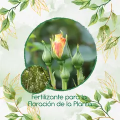 GENERICO - Fertilizante Para La Floración De Árbol Melina