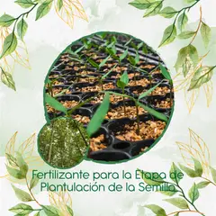 GENERICO - Fertilizante De Plantulación Para Árbol Melina
