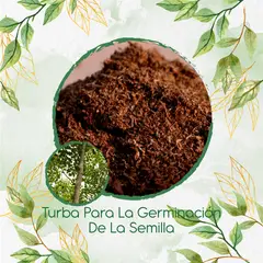 GENERICO - Turba Canadiense Especial Para Semillas De Árbol Melina Rodal