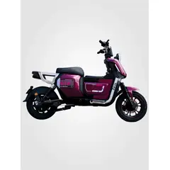 EVOBIKE - Bicicleta Eléctrica ZEUS 350W color MORADA
